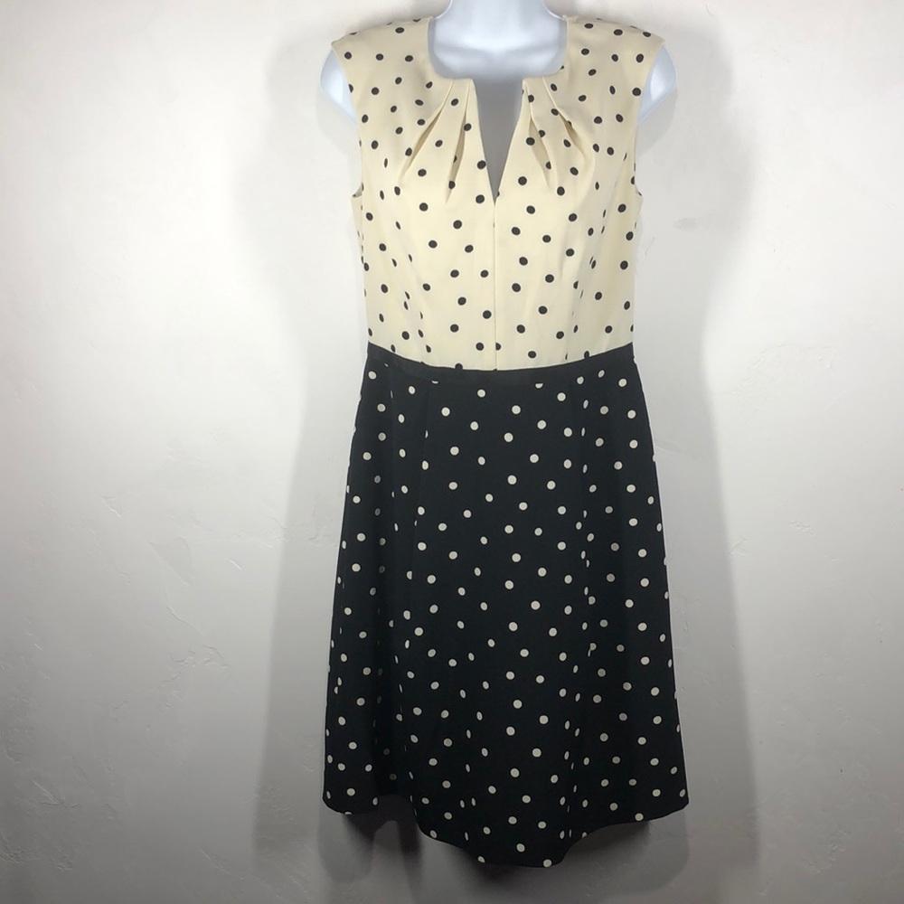 Adrianna Papell polka dot dress size 6